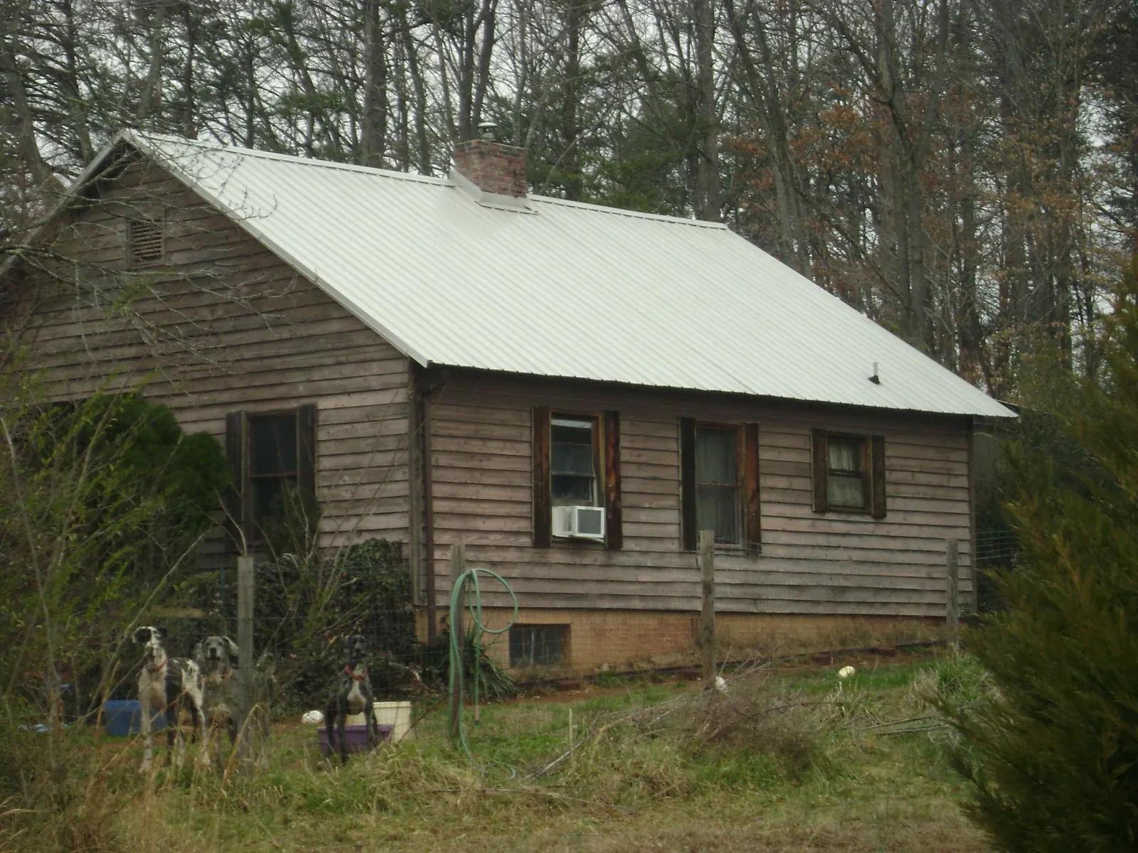 White metal roof on an old wood sided farmhouse, from a Asphalt Shingle Roof Repair job in Folsom